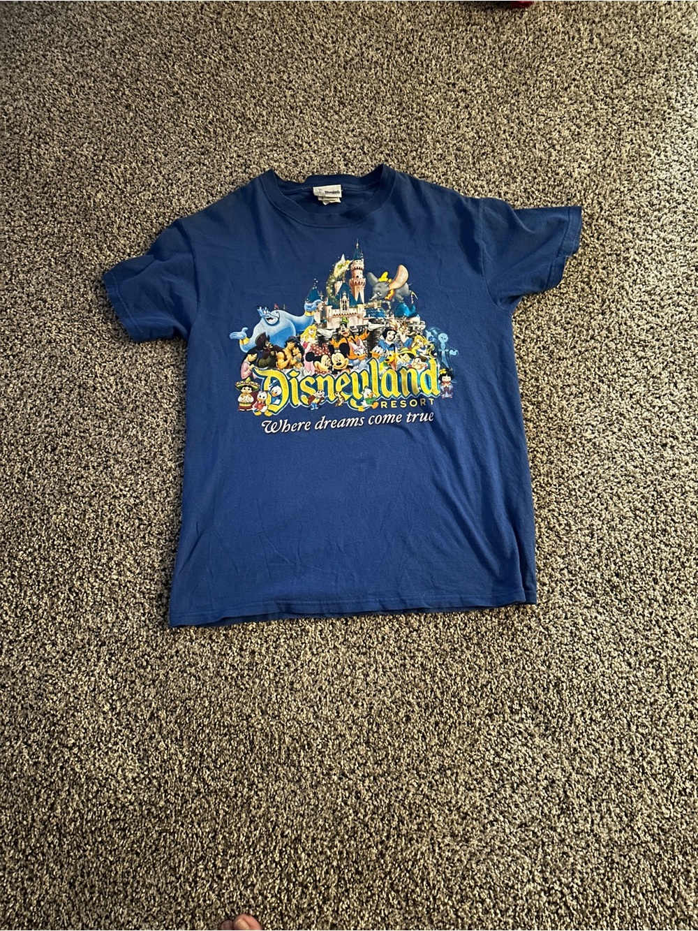 Disney Blue Disneyland Resort Graphic Tee